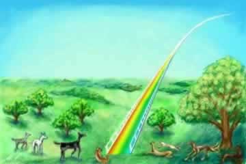 The Rainbow Bridge - Pets in spirit
